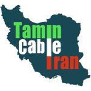 لوگوی تامین کابل ایران
